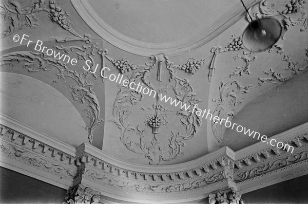 KILSHANNIG HOUSE PANEL OF CEILING OF HALL